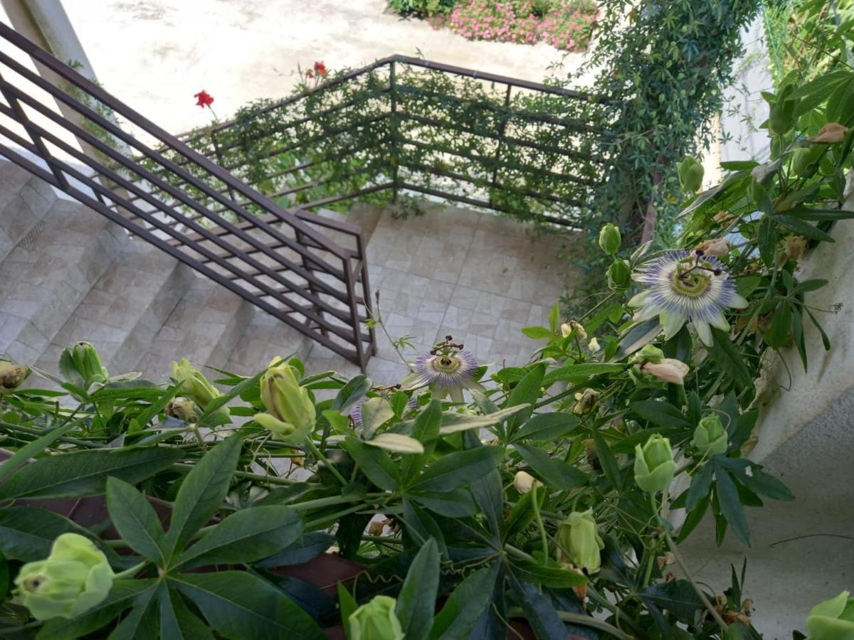 Hotel Flamingo Anaklia Exterior foto